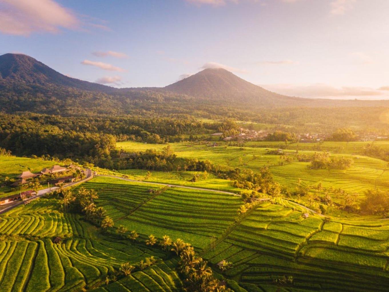 Alam Desa Bintaro yang Asri